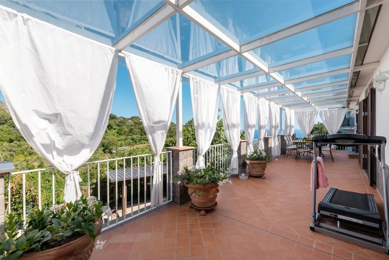 Villa Anna - De Vivo Realty Piano Di Sorrento Eksteriør bilde