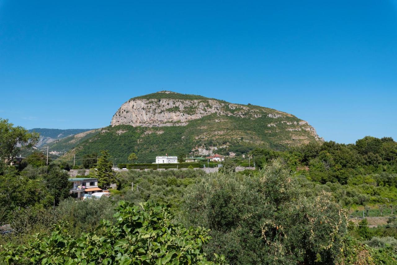 Villa Anna - De Vivo Realty Piano Di Sorrento Eksteriør bilde