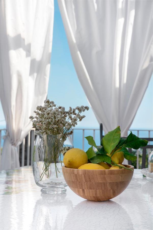 Villa Anna - De Vivo Realty Piano Di Sorrento Eksteriør bilde